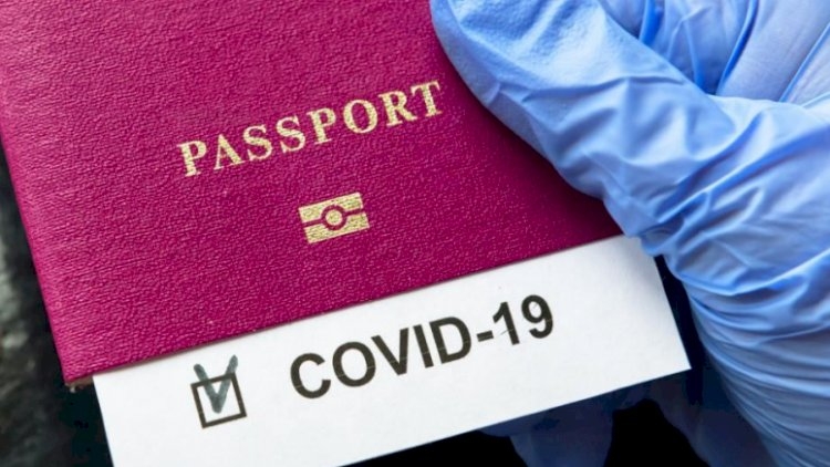 Saxta “COVID-19” pasportu satanlar haqda cinayət işi başlandı