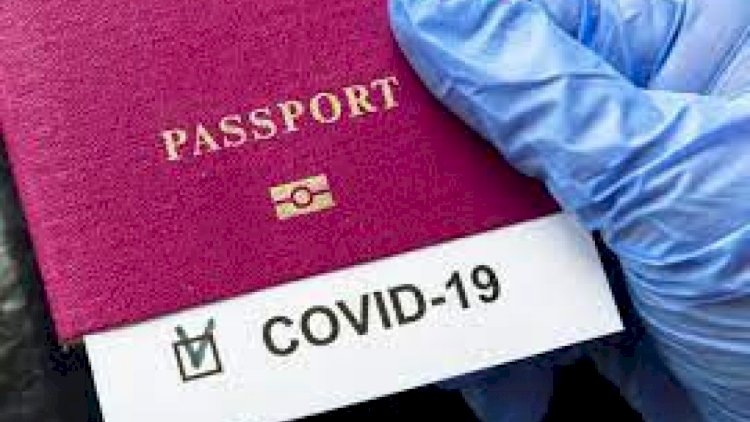 “Saxta COVID pasportu alanları güllələyək” - Deputat