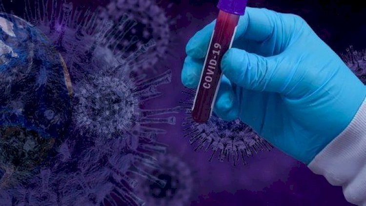 Koronavirusu kim yayır? - ÜST açıqladı