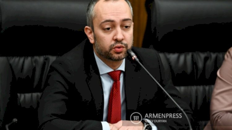 "Türkiyə ilə əlaqənin normallaşması maraqlarımıza uyğundur" - Erməni deputat