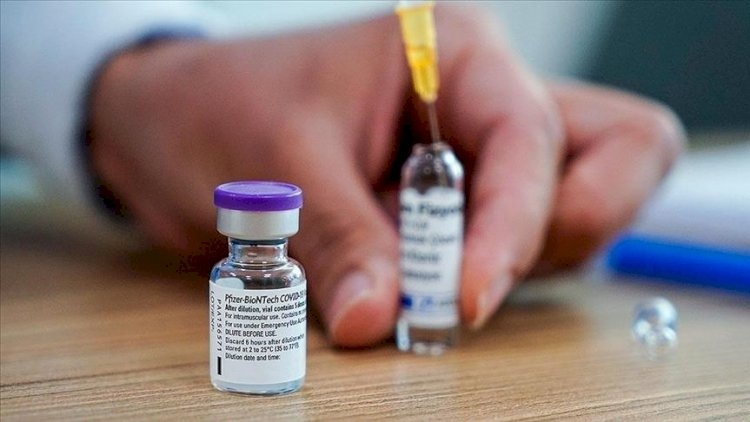 "Pfizer" koronavirusun bitəcəyi tarixi açıqladı