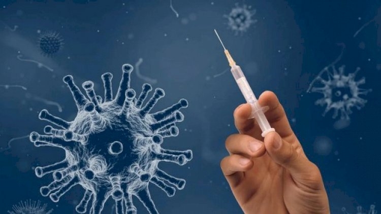 Koronavirusun növbəti ştammı daha çox insanı öldürə bilər