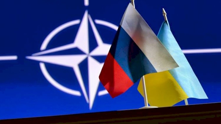 Ukrayna və Gürcüstanın NATO-ya qəbulu: "Konsensus yoxdur"