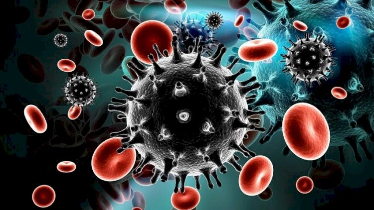 Dünyada ilk dəfə qadın HİV virusundan sağalıb