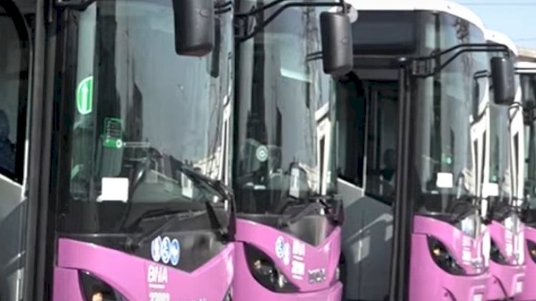 Bakıya yeni avtobuslar gətirildi - Video