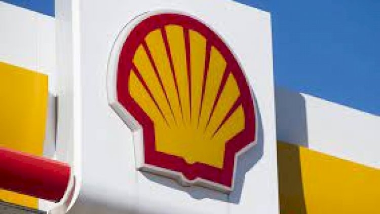 "Shell" Rusiyadakı fəaliyyətini dayandırır
