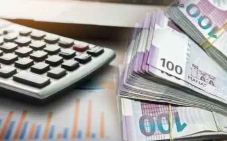 Fiziki şəxslərin gəlir vergisi üzrə proqnoz artırılır