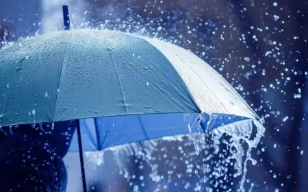 Sabahın havası AÇIQLANDI - Leysan yağacaq, dolu düşəcək...