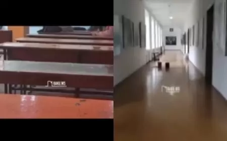 Daha iki universiteti su basdı