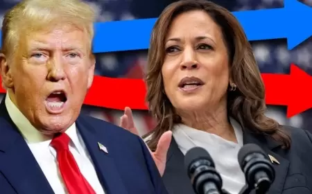 "Harris Baydenin siyasətini davam etdirsə, ermənilər daha da..." - Politoloq