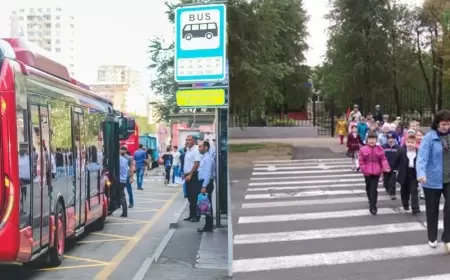 Piyada keçidinin xətləri silindi, avtobuslar da bir-birinə yol vermir: "Çox ciddi təhlükələr var" - AÇIQLAMA
