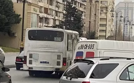 Avtobus sürücüsü qapını açmadı, əlil sərnişini vurdu