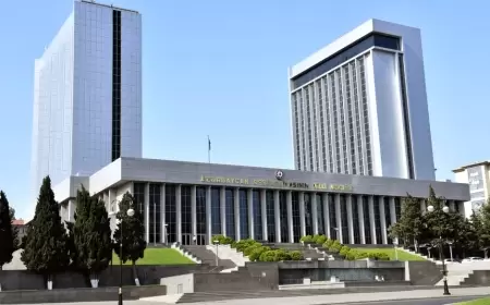 Milli Məclisdə yeni TƏYİNAT